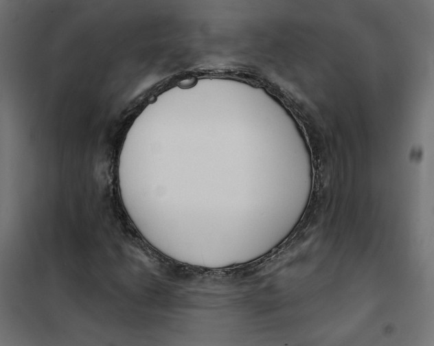 X0000101401206200807280954