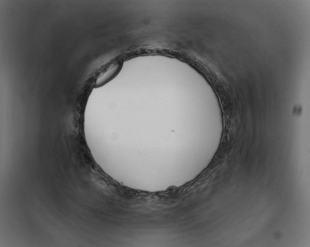 X0000101401207200807280954