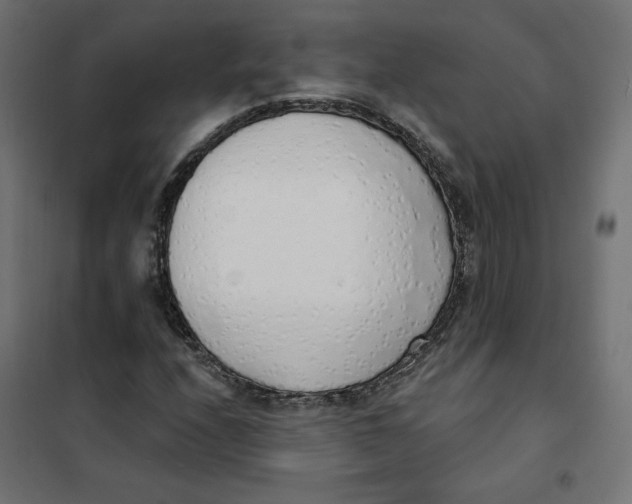 X0000101401208200807280954