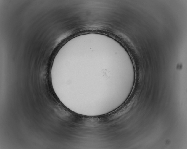 X0000101401210200807280954