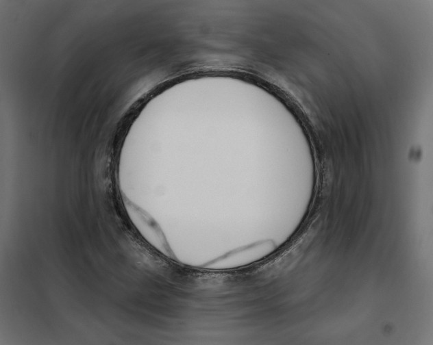 X0000101401211200807280954