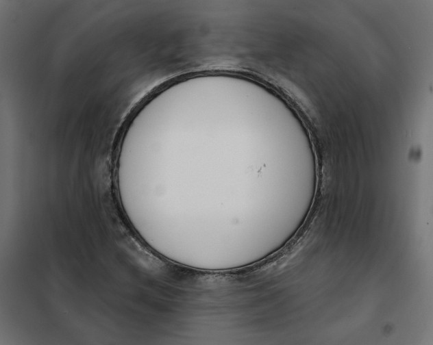 X0000101401212200807280954