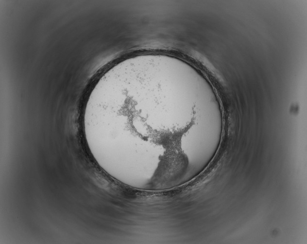 X0000101401213200807280954