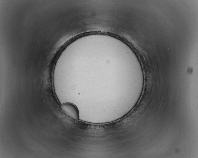 X0000101401215200807280954