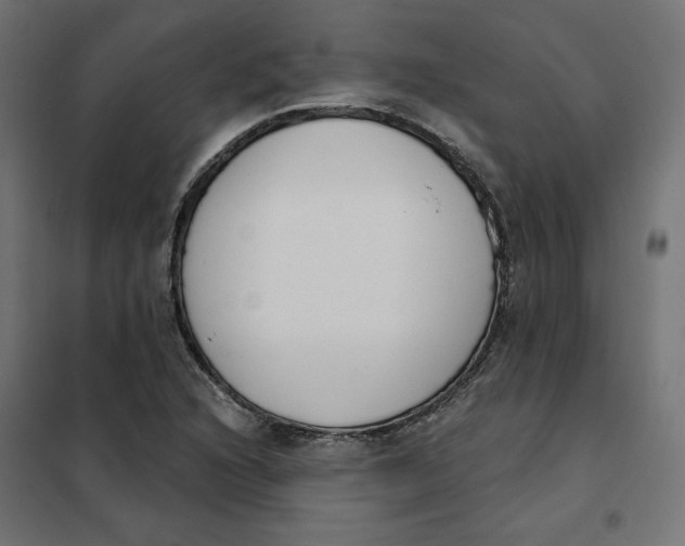 X0000101401216200807280954