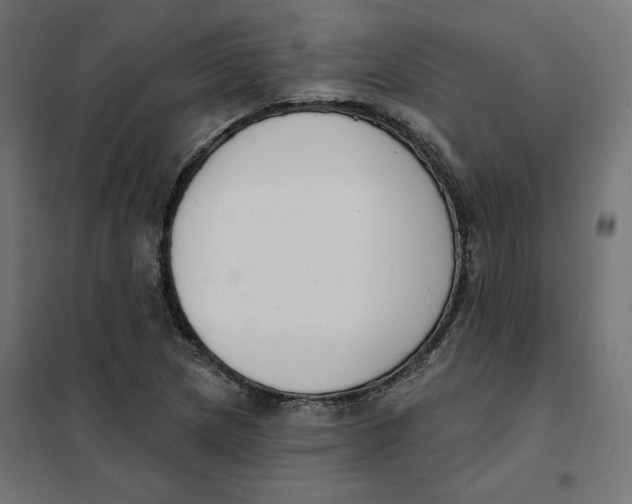 X0000101401217200807280954