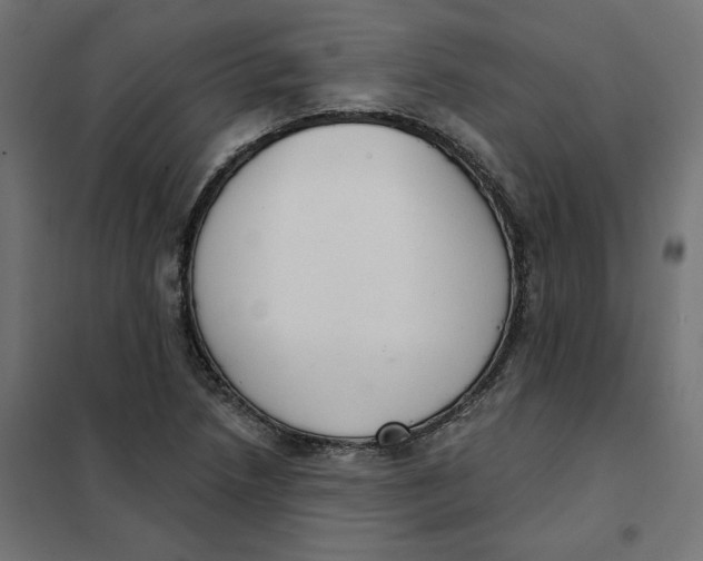 X0000101401218200807280954