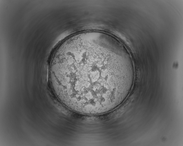 X0000101401219200807280954