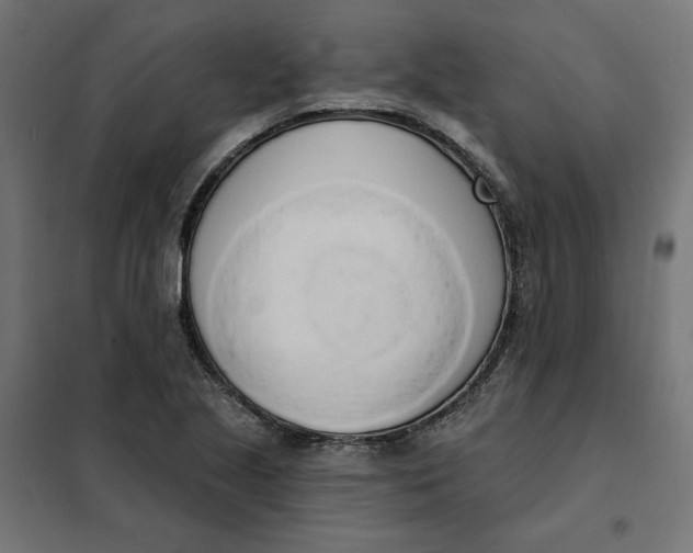 X0000101401221200807280954