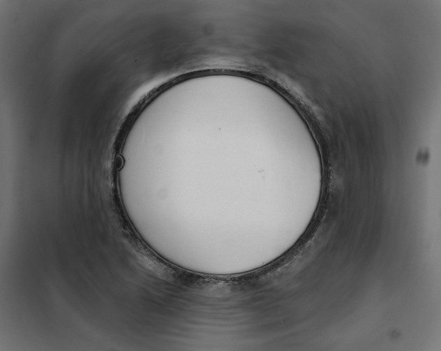 X0000101401222200807280954