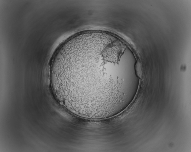 X0000101401223200807280954