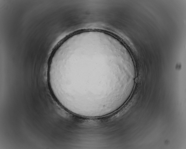 X0000101401224200807280954