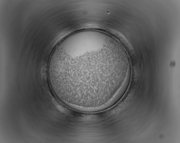 X0000101401225200807280954