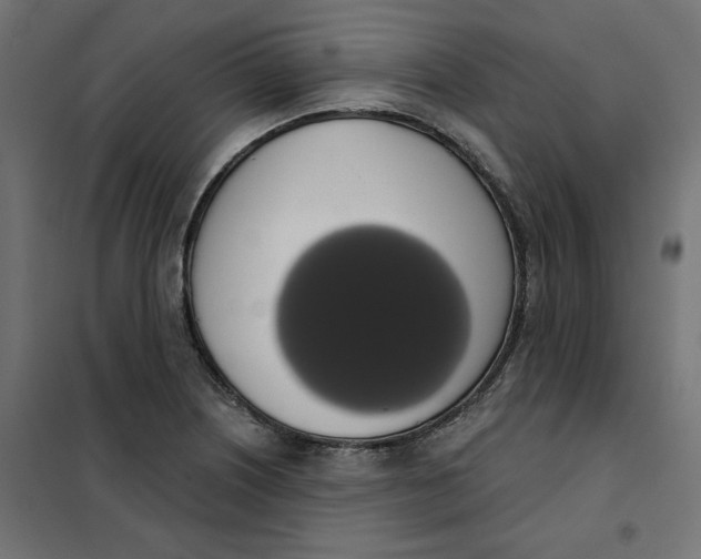 X0000101401226200807280954