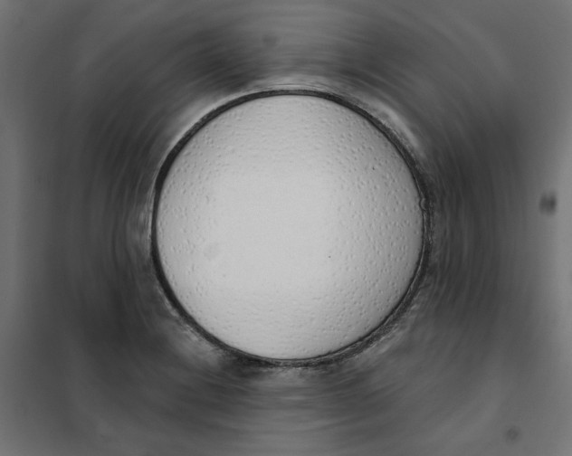 X0000101401228200807280954