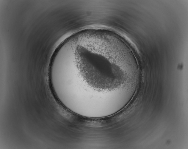 X0000101401229200807280954