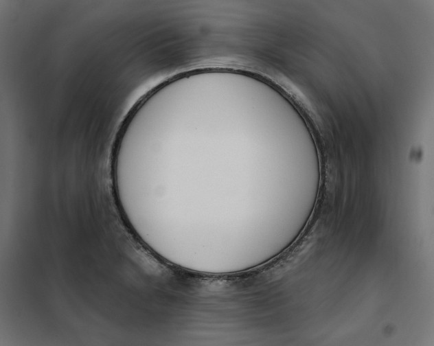 X0000101401230200807280954