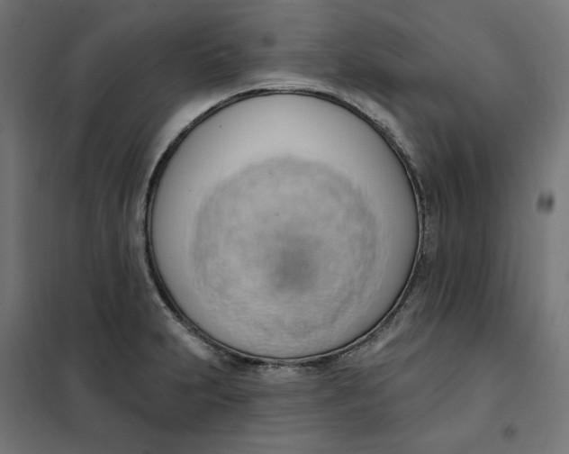 X0000101401231200807280954