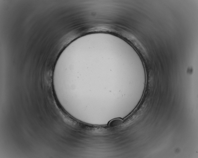 X0000101401233200807280954