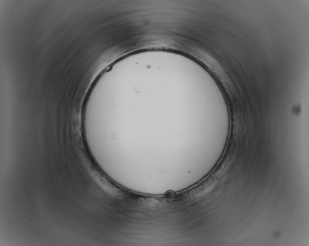 X0000101401234200807280954