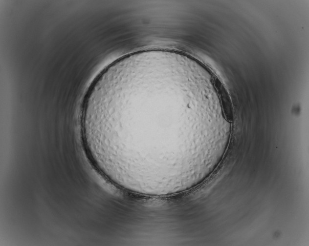 X0000101401235200807280954