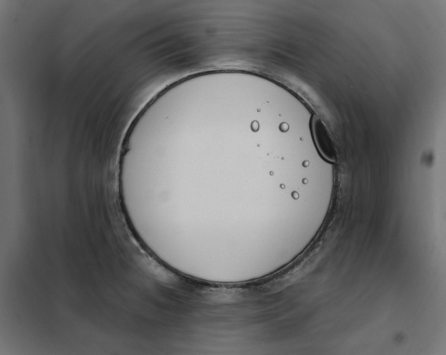 X0000101401236200807280954