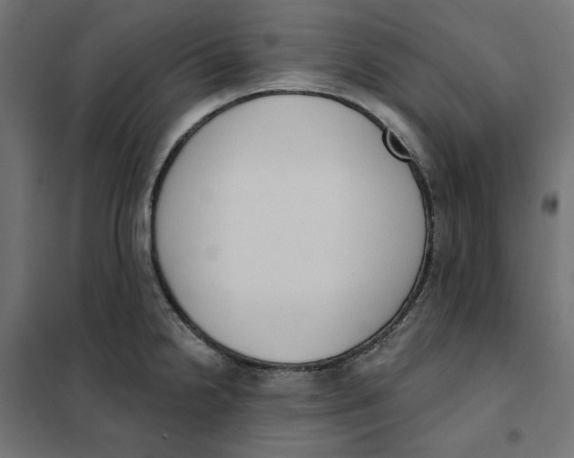 X0000101401238200807280954