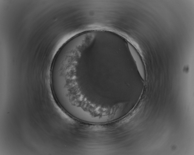 X0000101401239200807280954