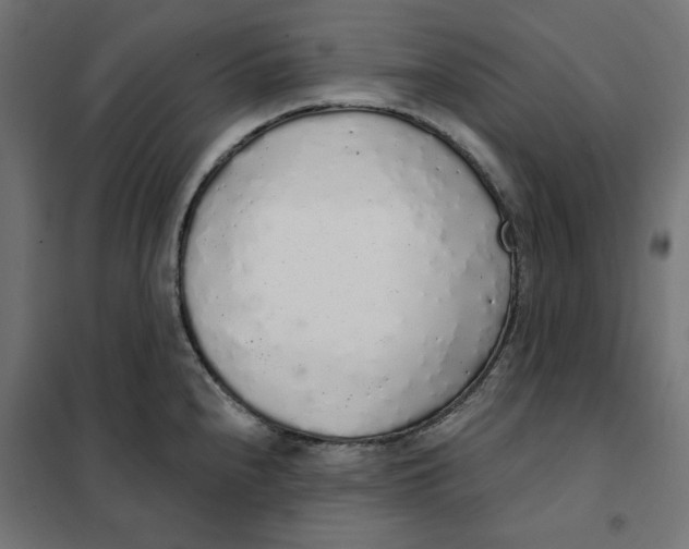 X0000101401240200807280954