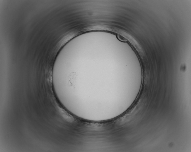 X0000101401241200807280954