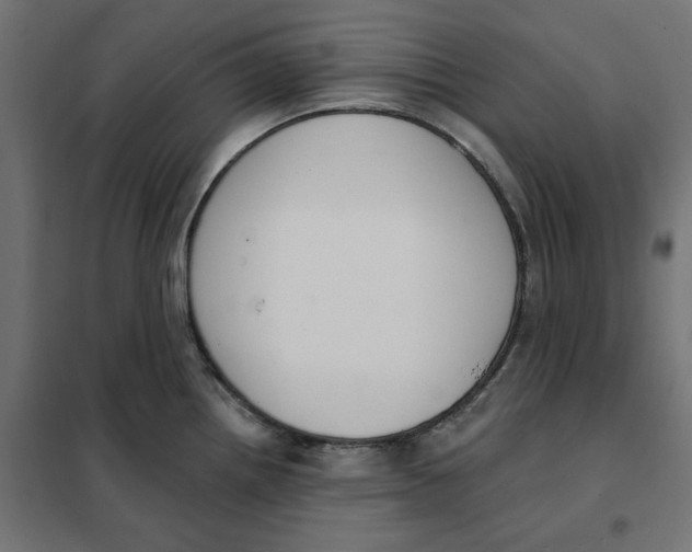 X0000101401242200807280954