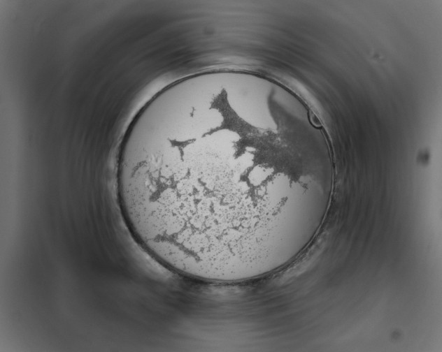 X0000101401243200807280954