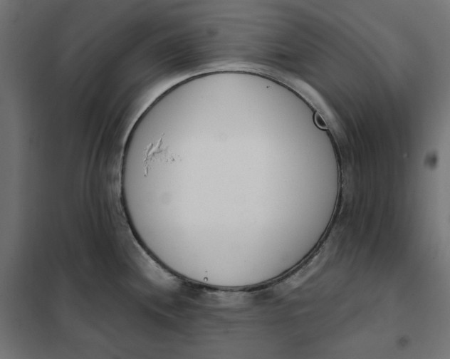 X0000101401244200807280954