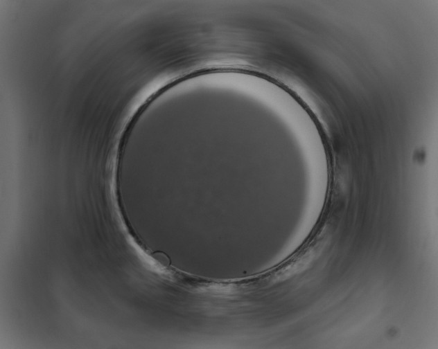 X0000101401245200807280954