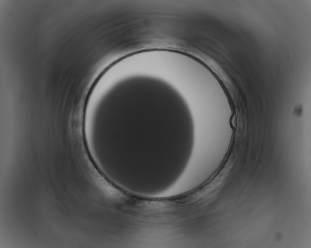 X0000101401246200807280954