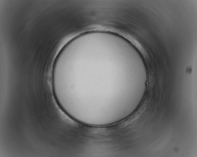 X0000101401247200807280954