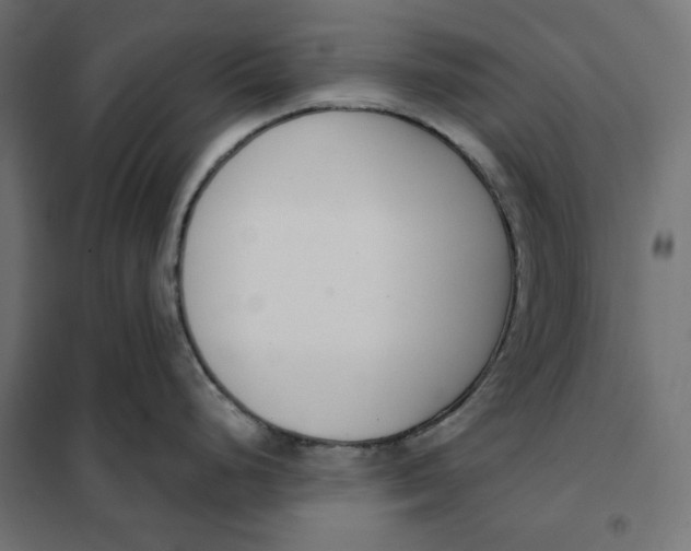 X0000101401248200807280954