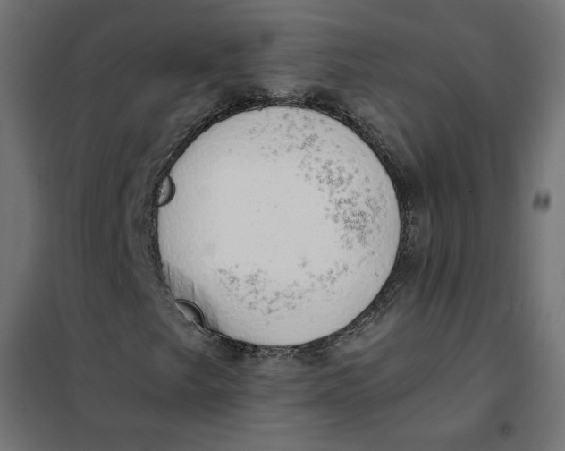 X0000101401249200807280954