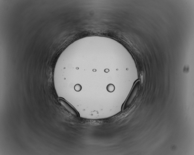 X0000101401251200807280954