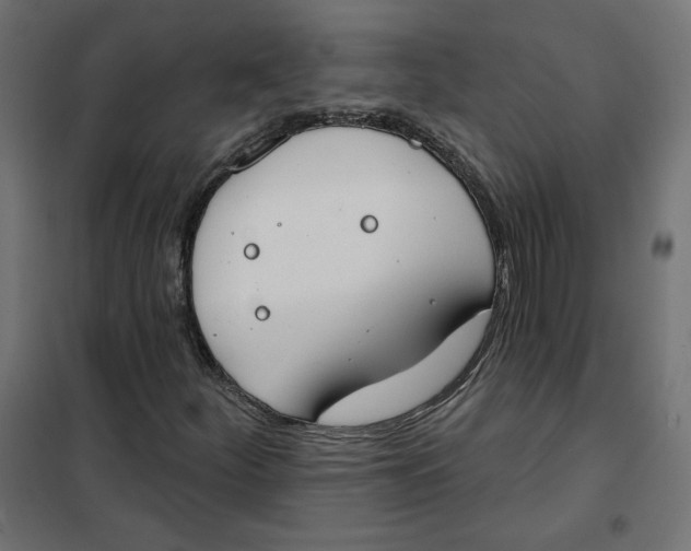 X0000101401252200807280954