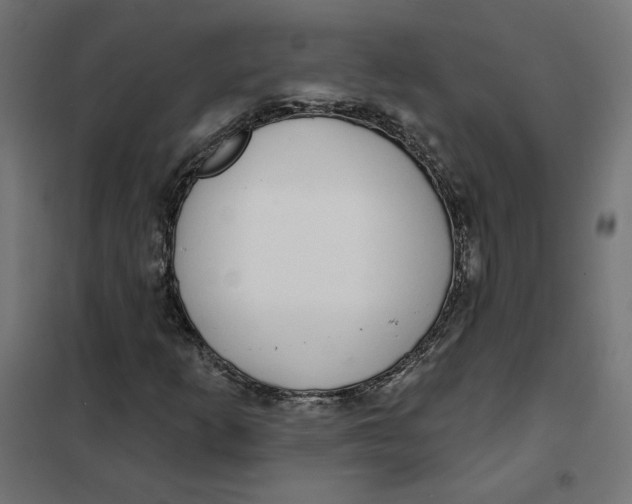 X0000101401253200807280953