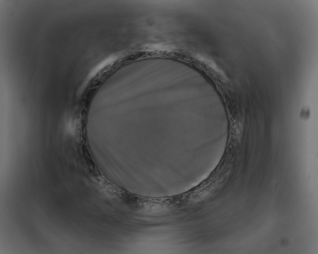 X0000101401254200807280953