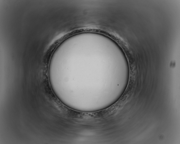 X0000101401255200807280953