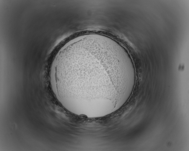 X0000101401256200807280953