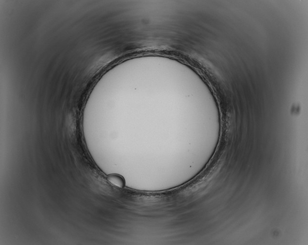 X0000101401257200807280953