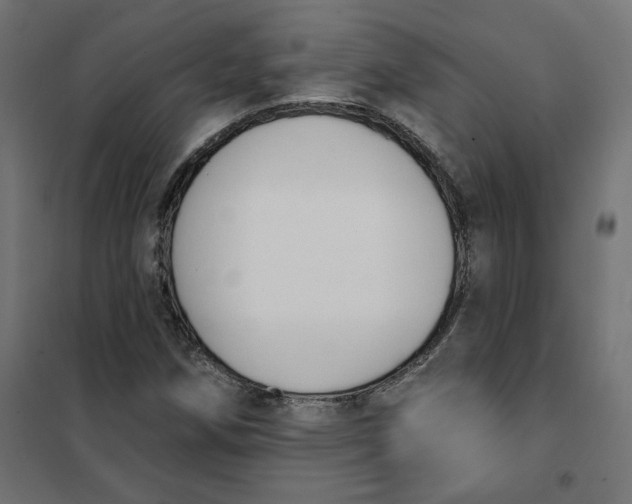 X0000101401258200807280953