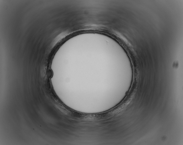 X0000101401259200807280953