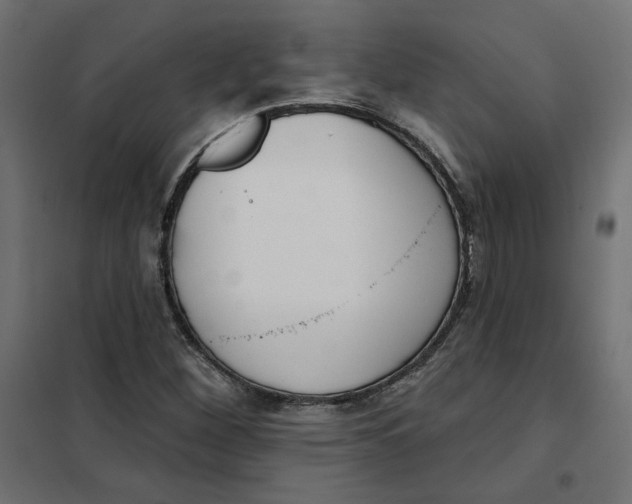 X0000101401260200807280953