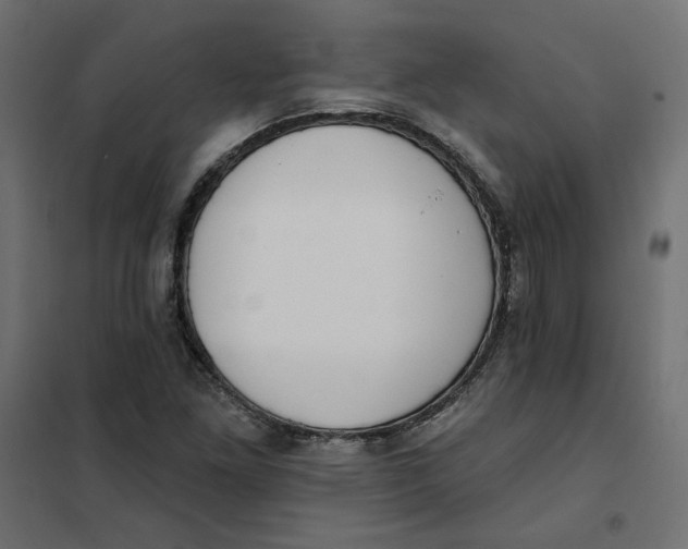 X0000101401261200807280953