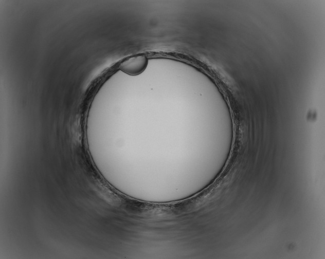 X0000101401262200807280953